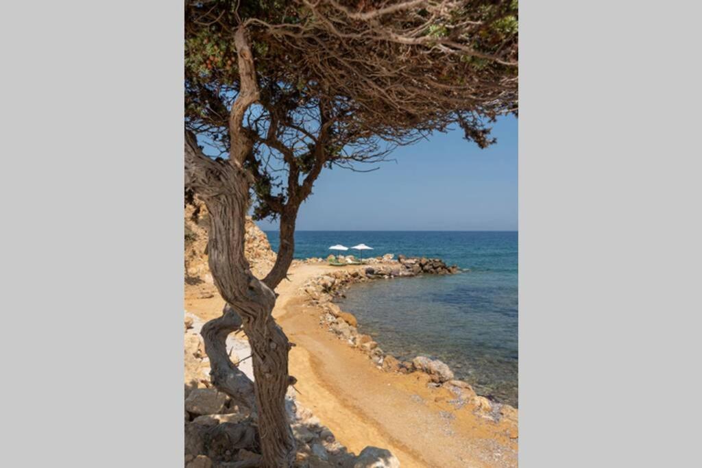 Ktima Sfakia Villa เคฟาลอส ภายนอก รูปภาพ